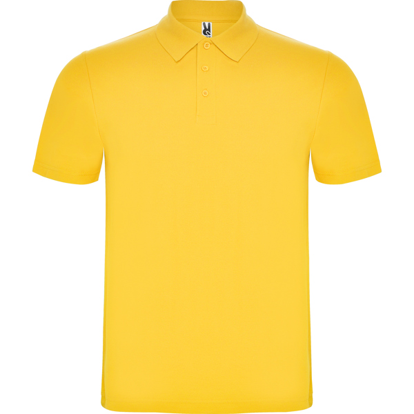 Polo Austral