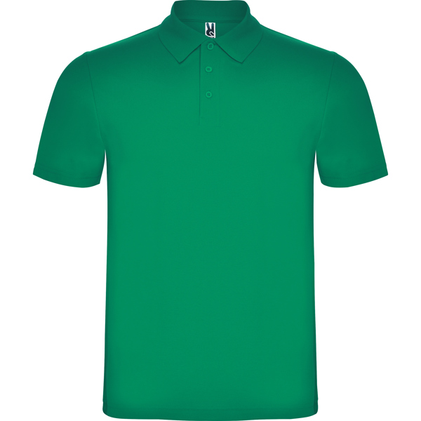 Polo Austral