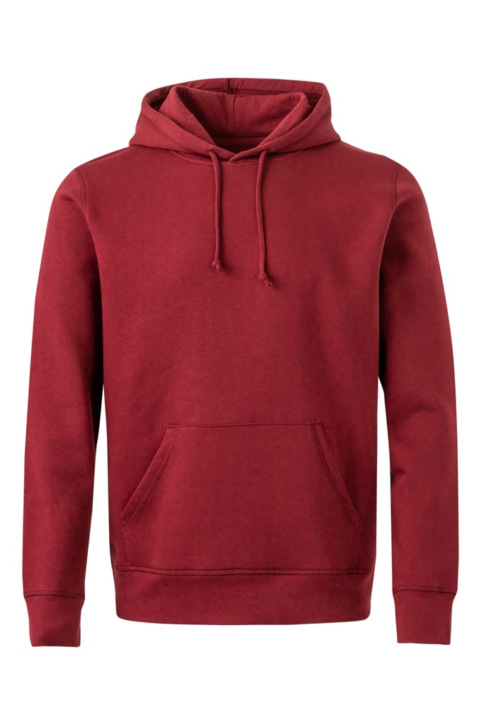 SHN290U Sudadera Capucha Unisex Gots
