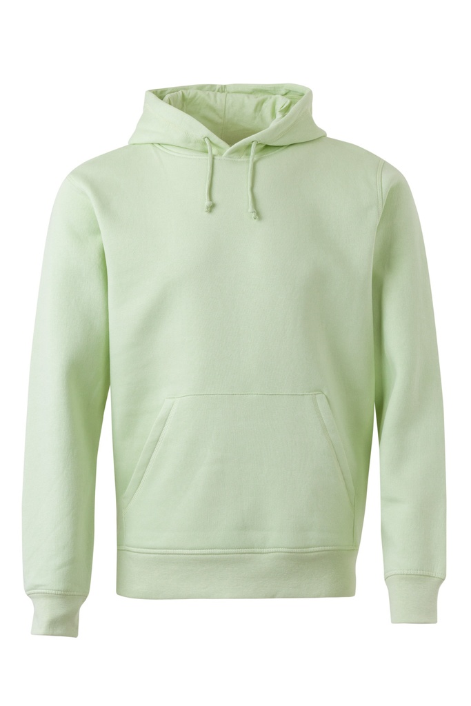 SHN290U Sudadera Capucha Unisex Gots