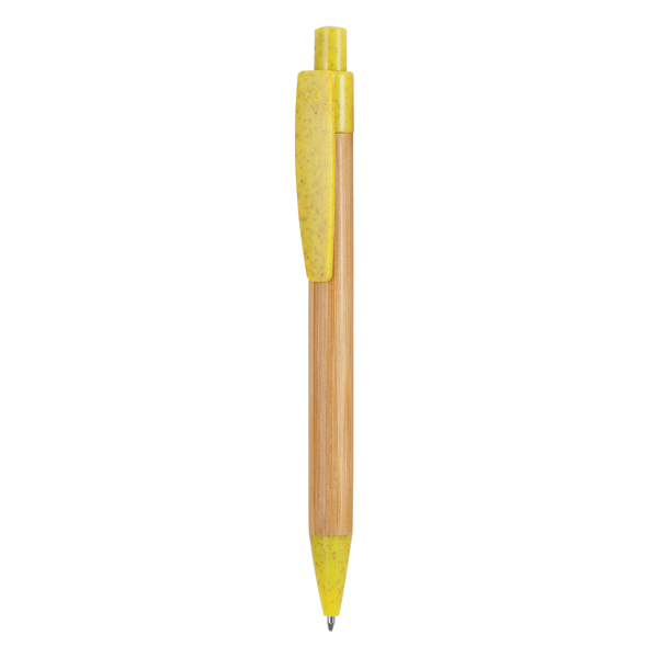 Escritura stoa