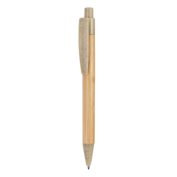 Escritura stoa