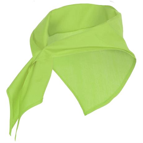 Pañuelos jaranero