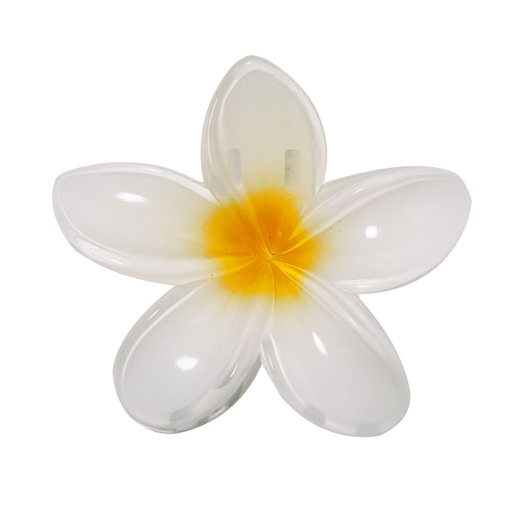 [21851FLORS/T] Pinza Tixcon