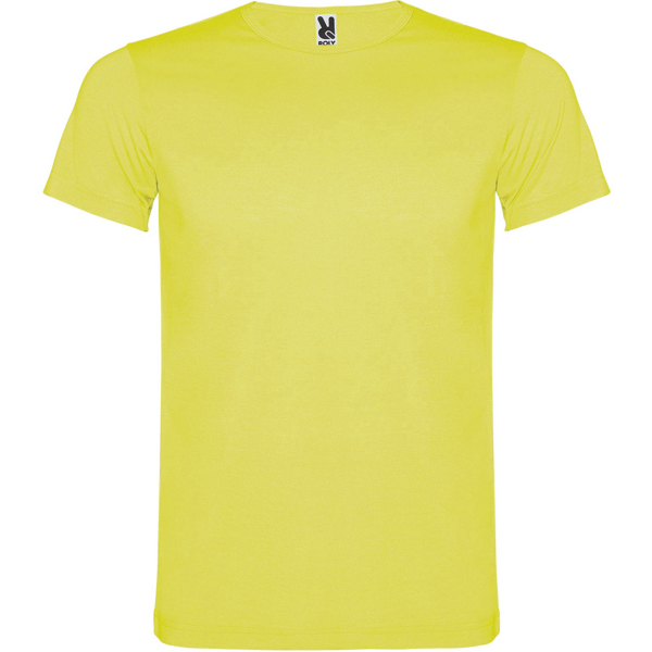 Camiseta Akita