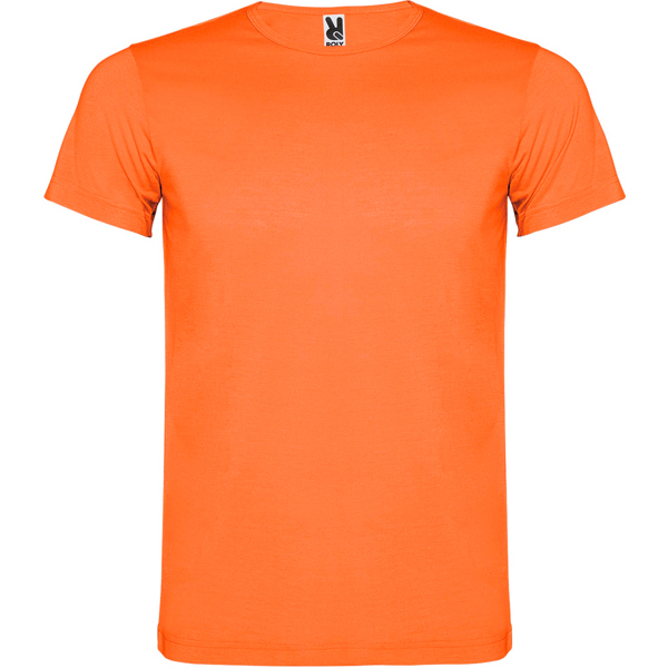 Camiseta Akita