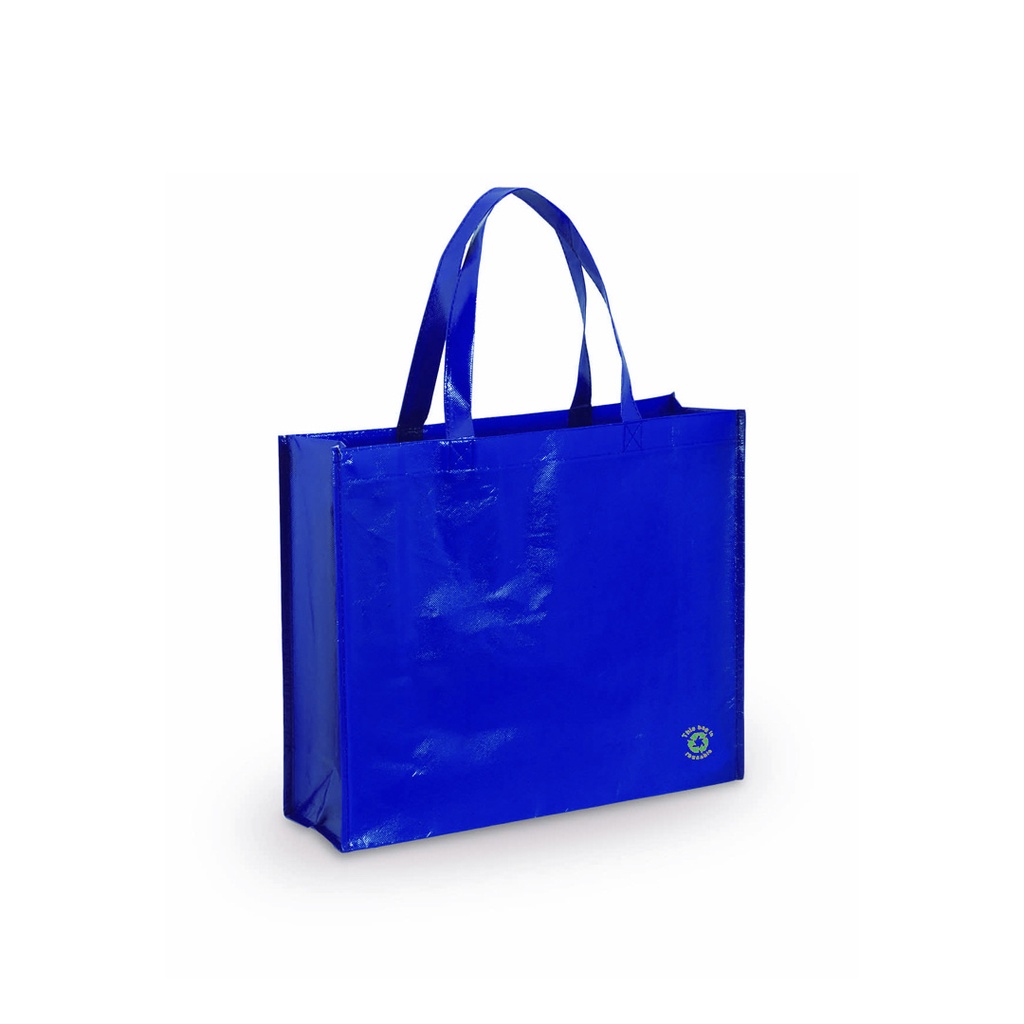 [3306AZULS/T] Bolsa Flubber (AZUL - AZUL)