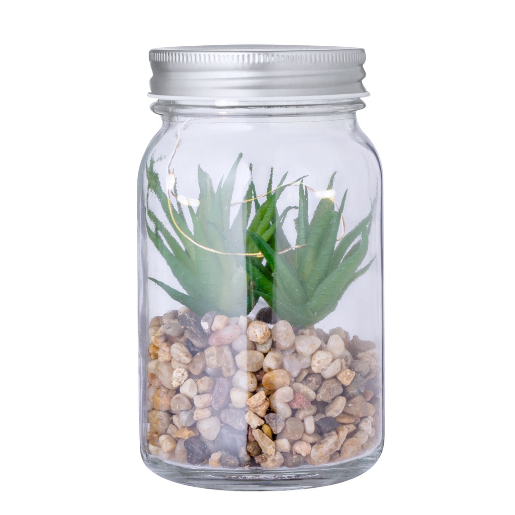 [20608S/T] Planta Decorativa Kyala