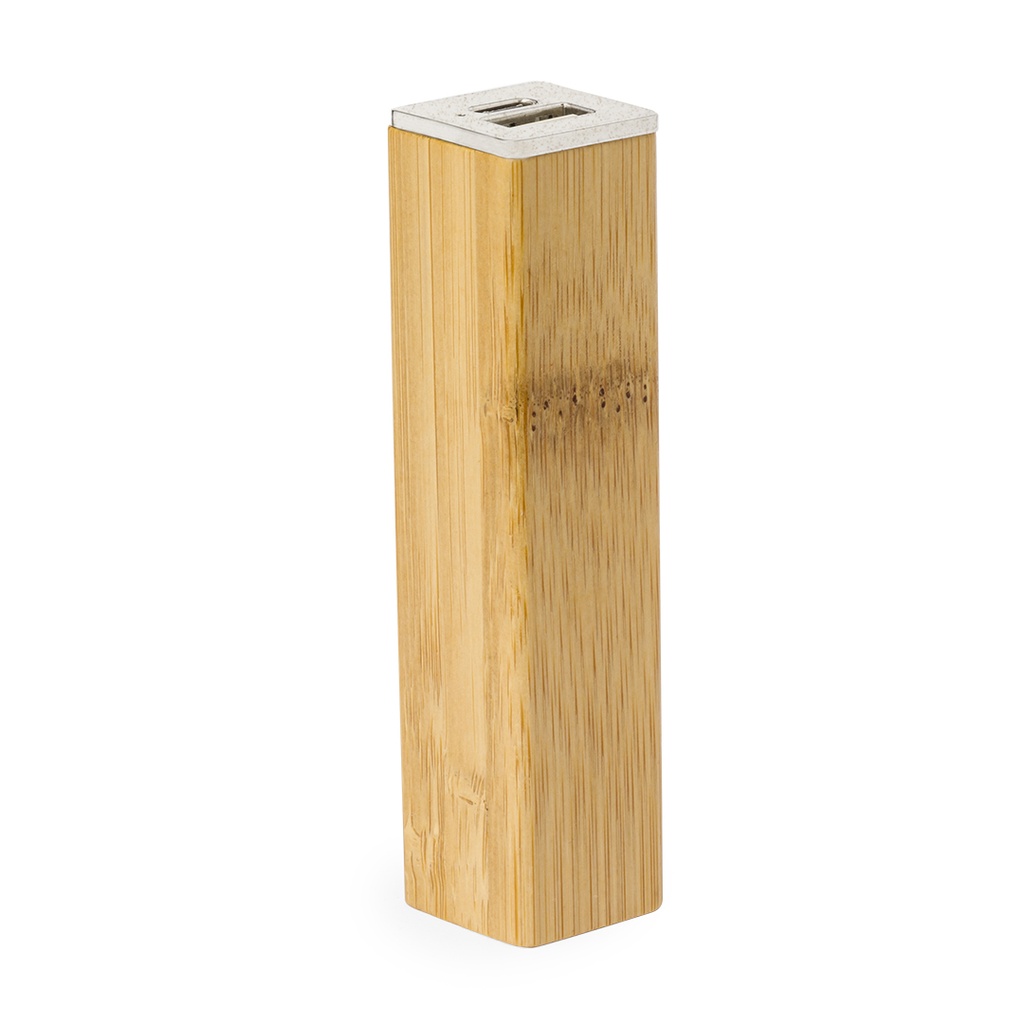[20844S/T] Power Bank Godimer