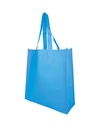 Bolsa Non Woven Tecson
