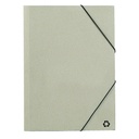 Carpeta Ecosum
